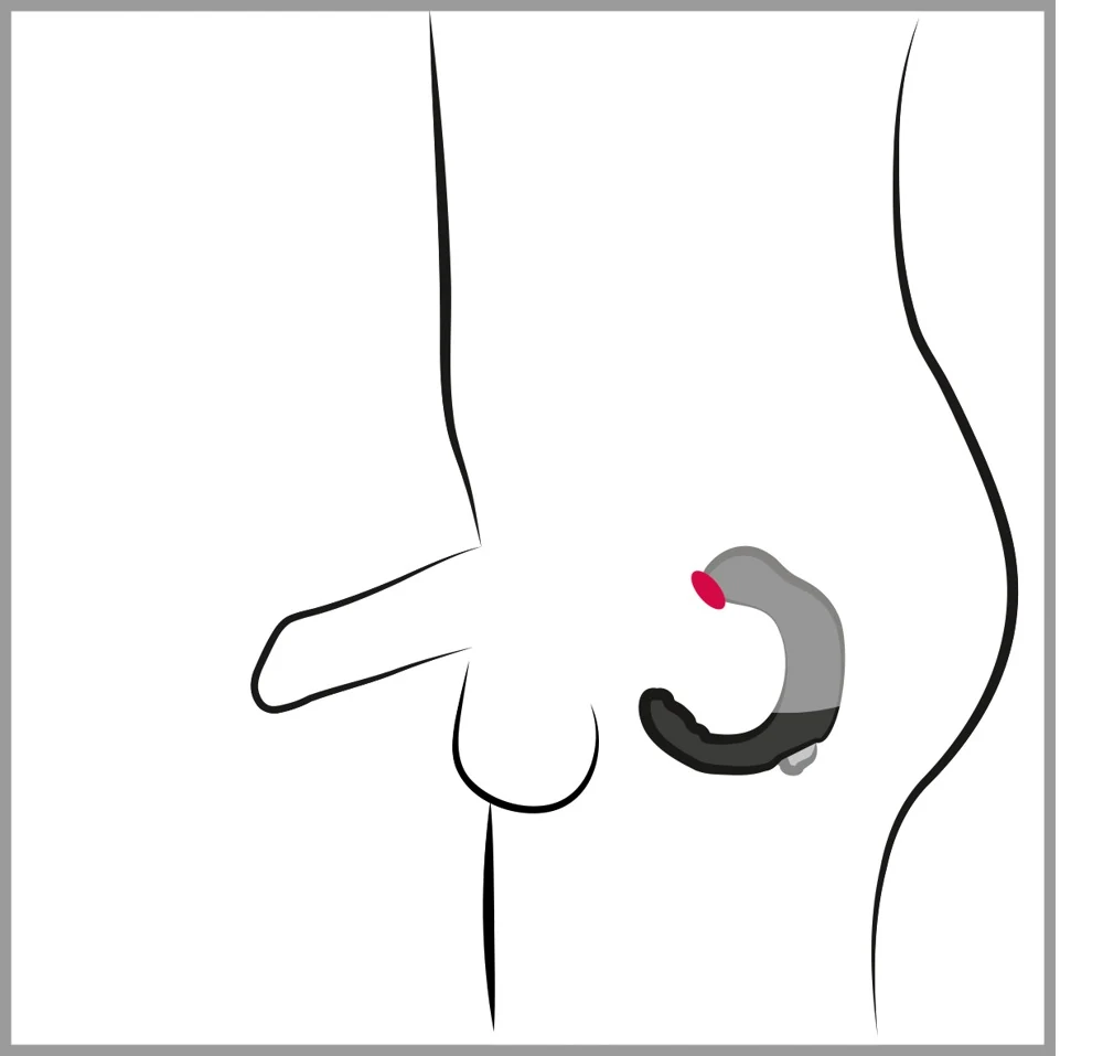 Rebel Prostate Stimulator 20 cm anal toy