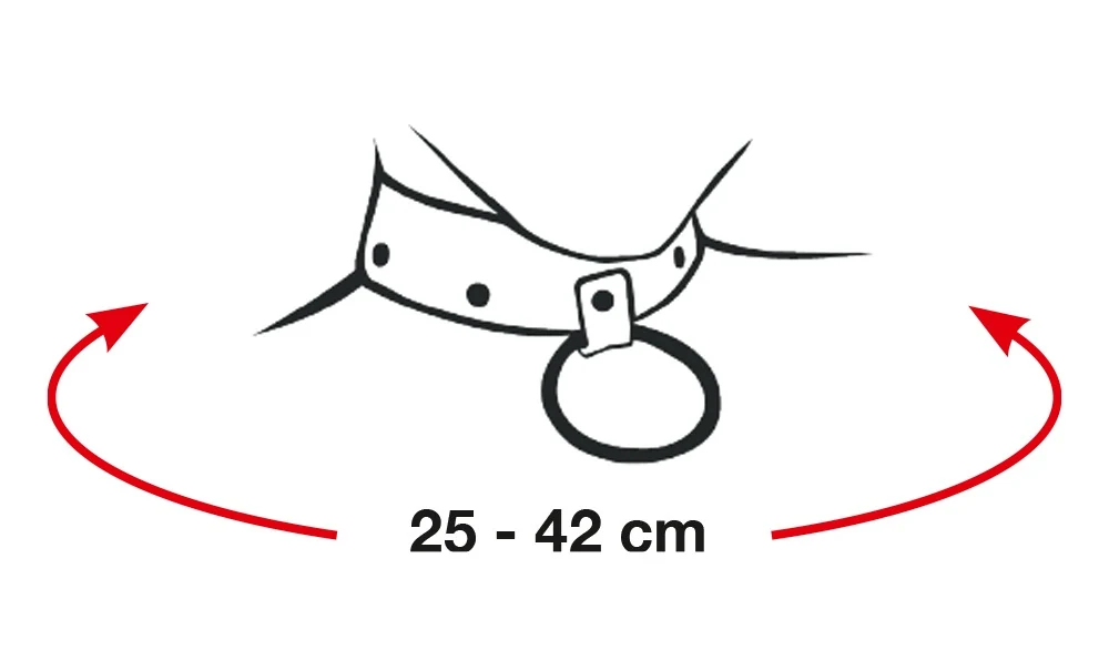 Bad Kitty Halsband bondage fesseln