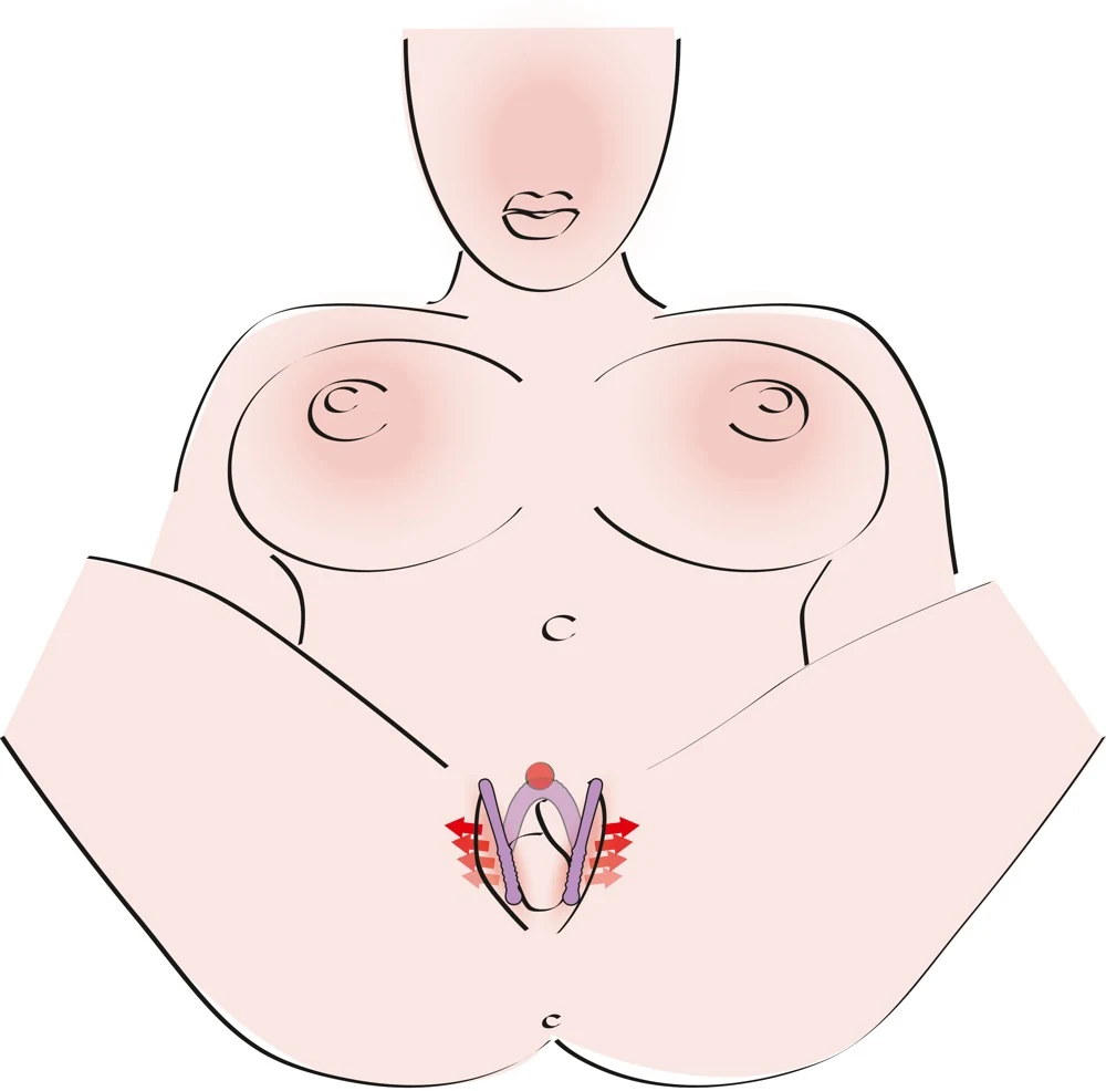 Labia Spreider Intimate Spreader