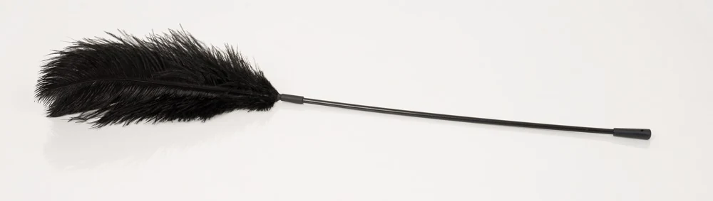 Bad Kitty Federstab federn tickler