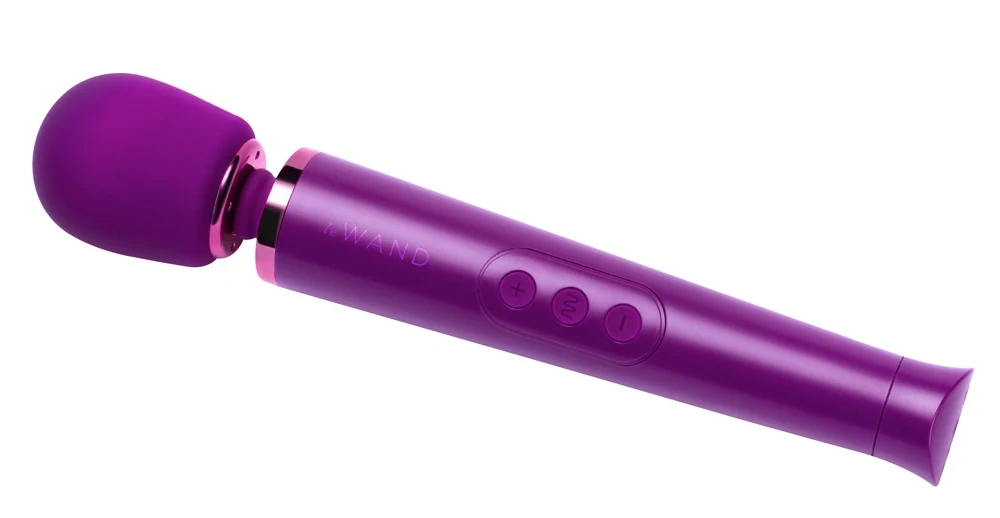 le Wand Petite Rechargeable Vibrating Massager 25,4 cm vibrator