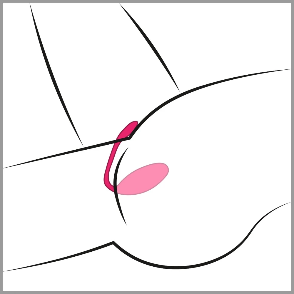 Lovense Lush 3 21 cm vibrator
