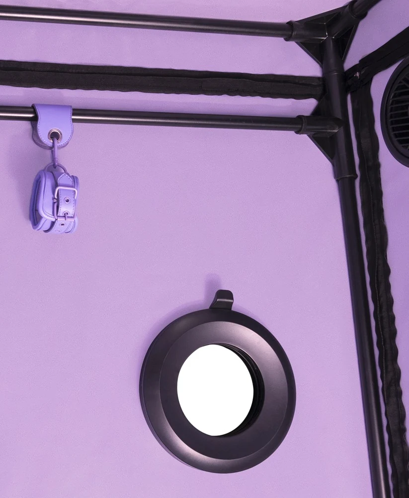 Secret Dome Scandale sonstiges