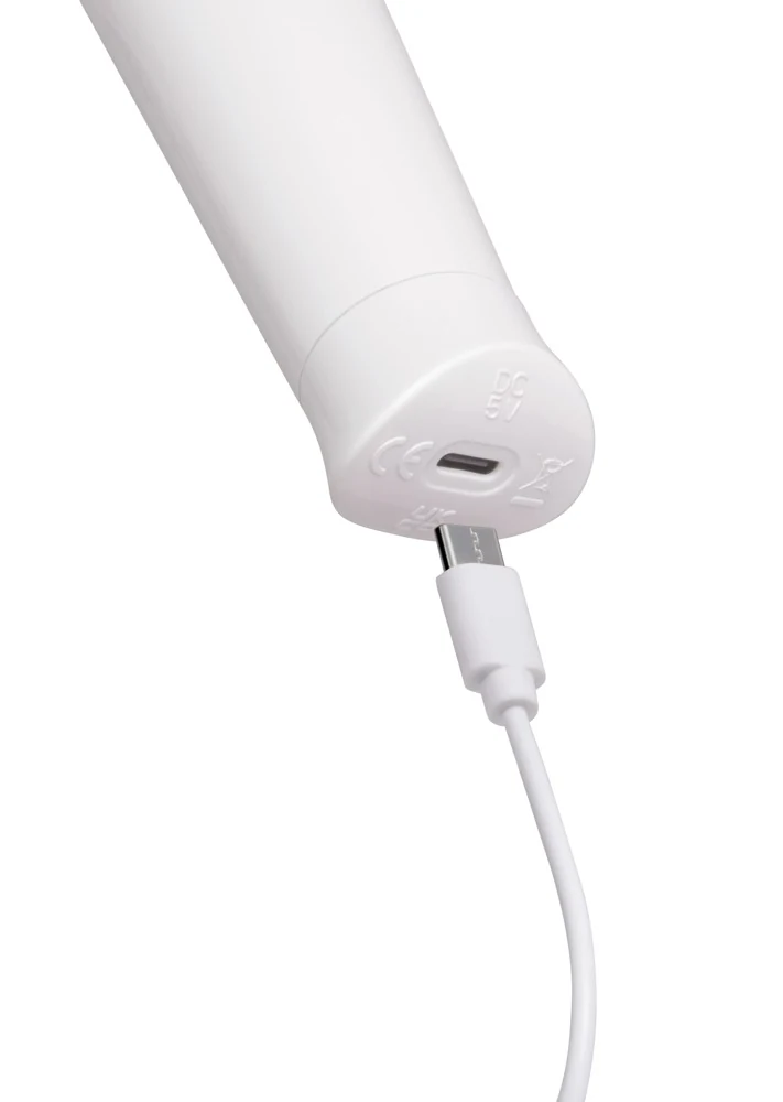 le Wand Classique Cordless Petite 24,7 cm vibrator