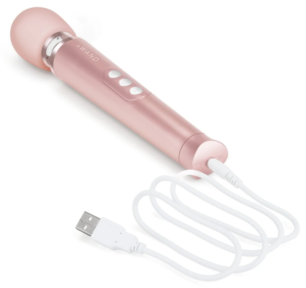 le Wand Petite Rechargeable Vibrating Massager 25,4 cm vibrator