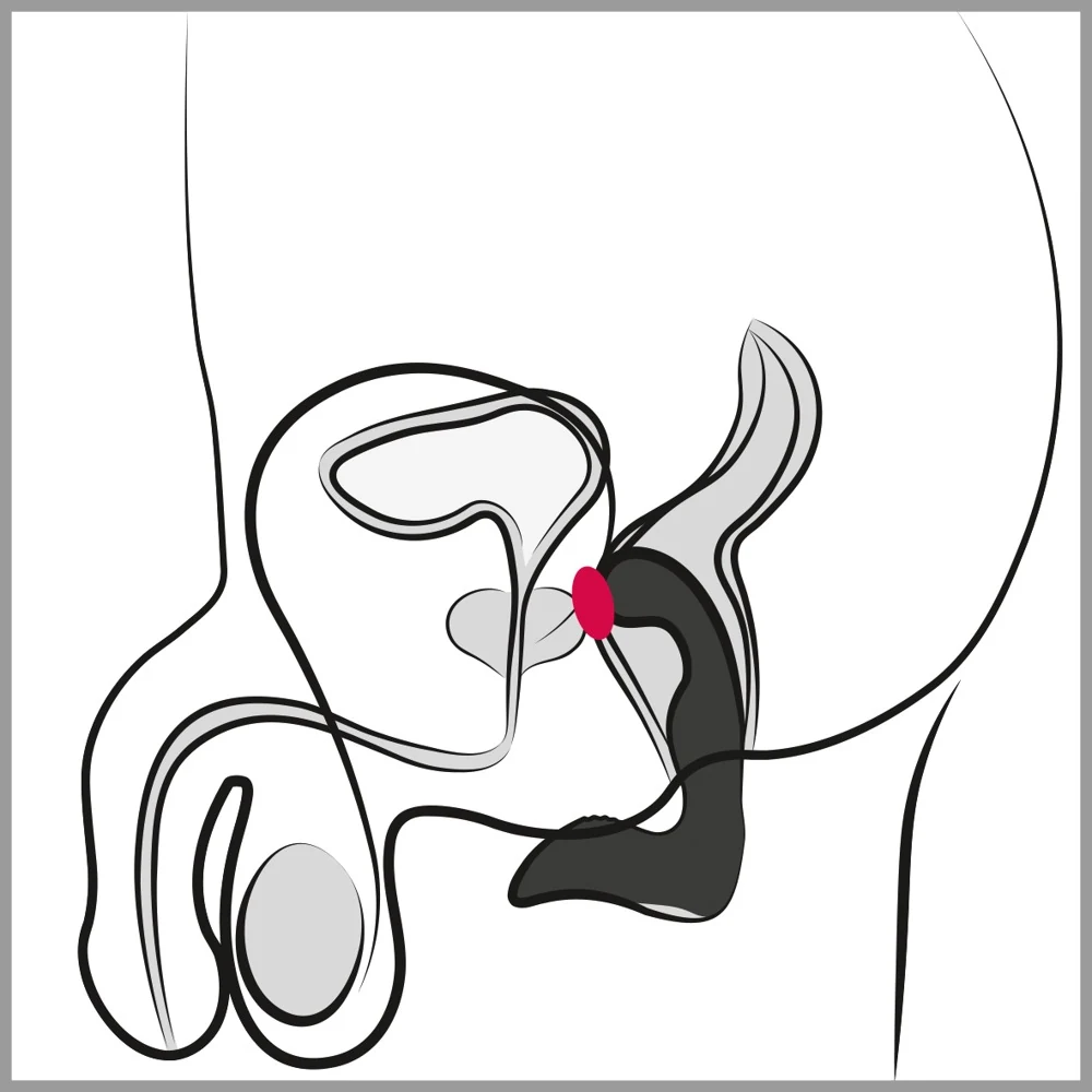 Rebel Prostatavibrator 14,6 cm anal toy