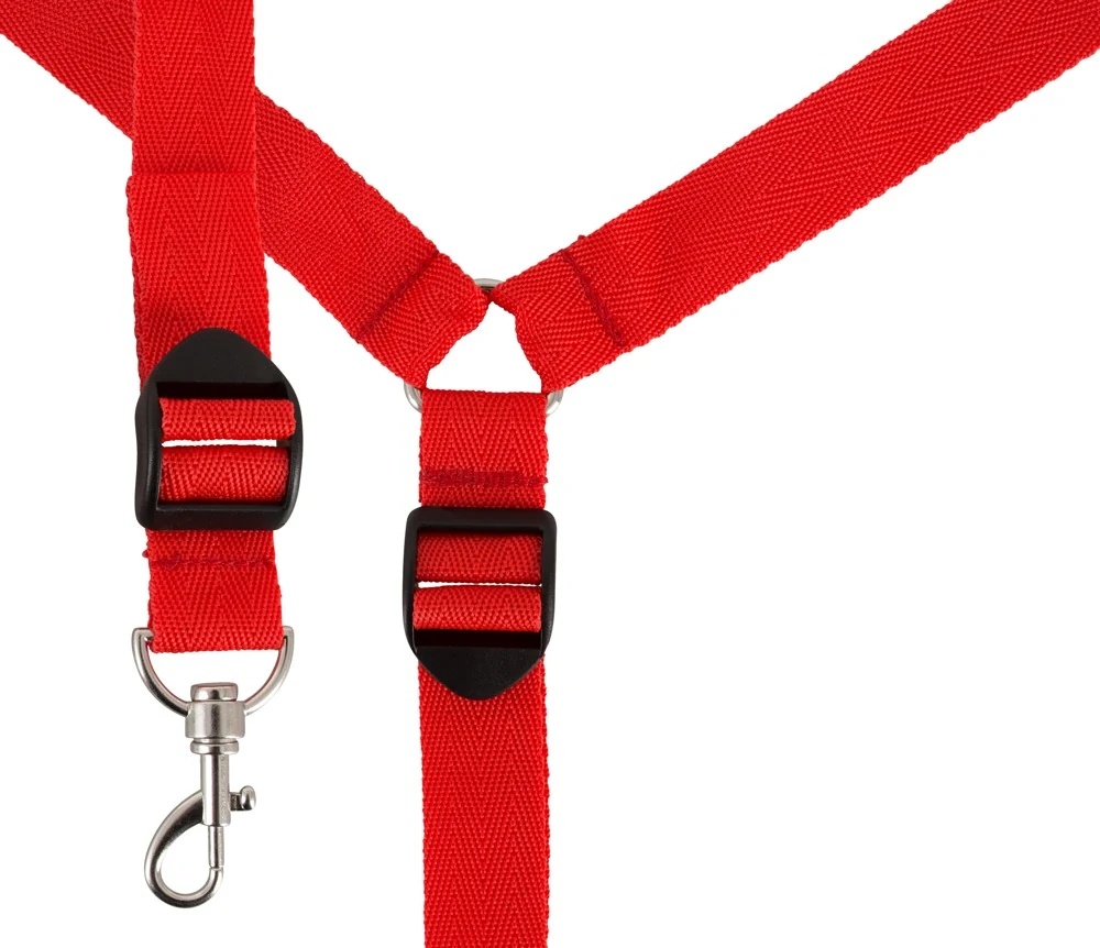 Bad Kitty Bettfessel-Set bondage fesseln