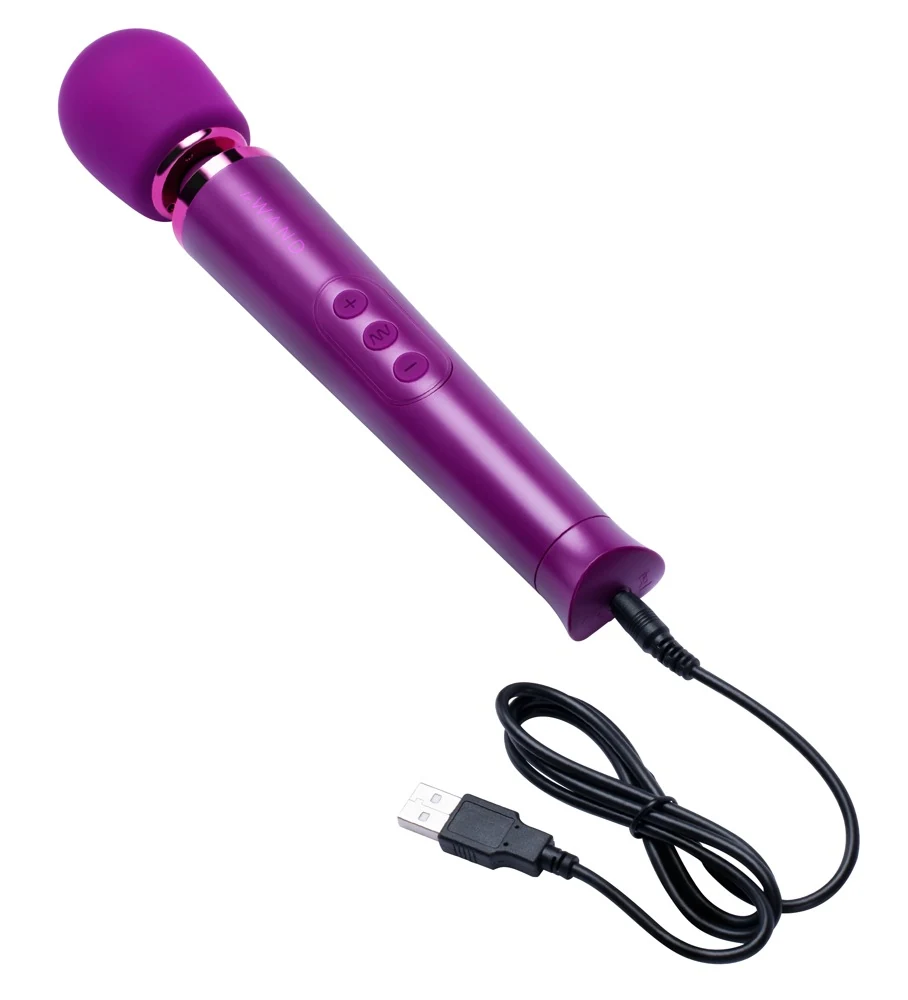 le Wand Petite Rechargeable Vibrating Massager 25,4 cm vibrator